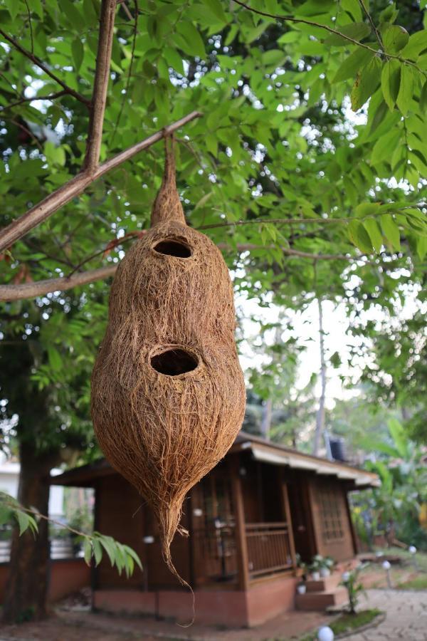 Greenchromide Homestays Mundrothuruth Ngoại thất bức ảnh